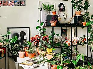 Let's play HouseX with shemales, big tits and cocks everywhere!