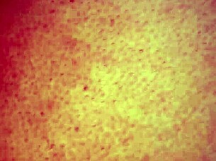 BBW Rides Cock Outdoors