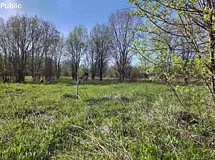 we got watched while fucking wildly in public