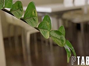 interior design secrets revealed by renato leya desantis in reality show