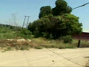 Audrey Hollander, red-haired milf, fucked outdoors in fishnets