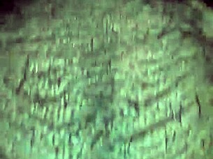 Mature Latina MILF Fucks Young Man Hard!