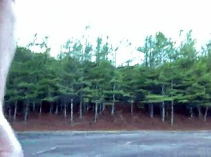 Clitlicker662 Update 28 Featuring Outdoor Muff Diving