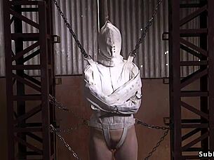 sailor luna in extreme bondage