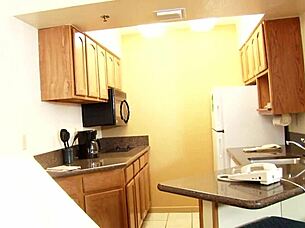 neela gets her pussy fucked raw by a massive cock