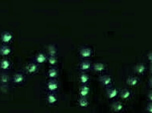 silly young girl having fun in bedroom