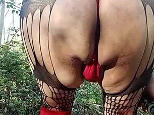 Reymisterio422 shares his favorite spot in the forest on April 14, 2025