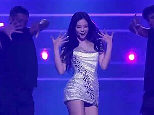 Born Pink Blink Concert Performance