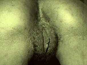 vintage hairy women sucking outdoors