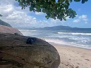 The peludinhas enjoy a wild beach orgy together