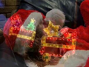 big boobed milf in lingerie and stockings gets licked and fingered anally on bed.