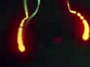 Girls kiss and scissor during photoshoot