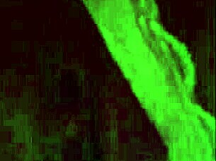 beautiful latina shows off lingerie and masturbates for fan