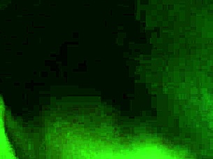 Latina Babe Sucks Dick Like A Pro!