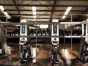 feeling the intense domination from mistress april in the rosen garden