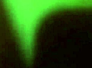 Tubera stays in a motel in the country.