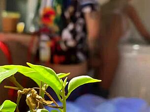 Mother-In-Law Gives Ass Sex Toy After Long Time