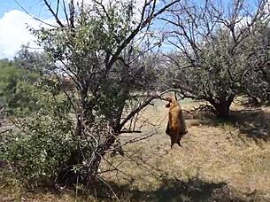 Savannah Vixen Outdoors With Mature Amateurs