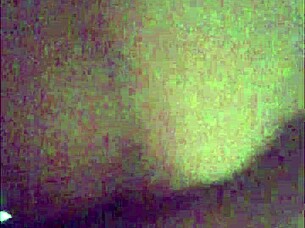 In this scene, daddy dominates the housewife by licking her hairy pussy