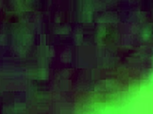 In this scene, daddy dominates the housewife by licking her hairy pussy