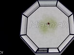 The Incident In The Cage Part 1