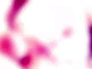 Nika Charming's anal casting with rough sex and cum in mouth