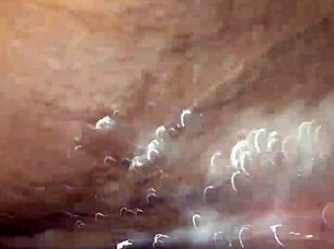 i love eating this wet ebony pussy until she orgasms