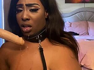 lexo butterfly, can you suck that cock better? so submissive and spitting.