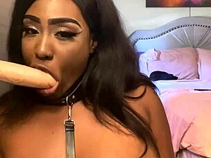 lexo butterfly, can you suck that cock better? so submissive and spitting.