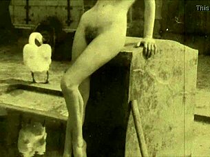 dark lantern entertainment presents retro vintage hairy natural tits and pussy