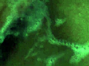 quero sentir sua porra quentinha escorrendo em mim com big tits curvy submissive toys 💦😍