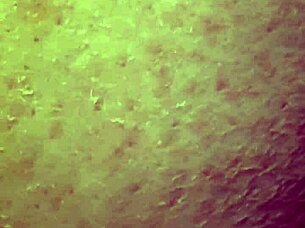 Bbw Masturbating with Dildo for First Time