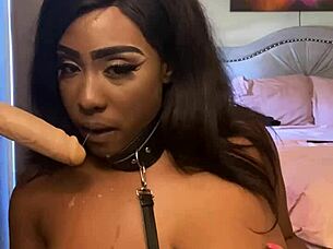 lexo butterfly, can you suck that cock better? so submissive and spitting.