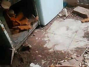 Irreversible-sin-retorno update 95 mi novia me leva al patio y me hace un super oral garganta profunda dec 24 2024