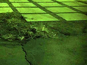 rough sodomy bdsm for bound teen