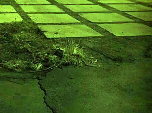 rough sodomy bdsm for bound teen