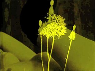 Vintage Erotic Cartoon Drawings