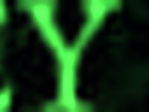 Beautiful teen 18+ squirts hard!