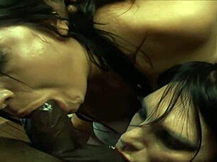 i love watching gabriella and katja with that black monster cock