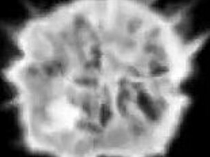 my free time when im not at work - 1 hour movie - redcatsroom threesome with my hubby and red-neck farmer