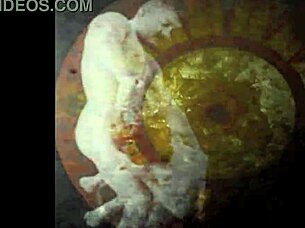 Vintage Erotic Cartoon Drawings