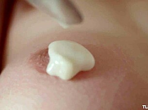 Good morning, Elizabeth and Nicolette