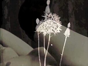 Vintage Erotic Confessions Presented