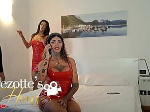 I wait for you in this trans orgy night.