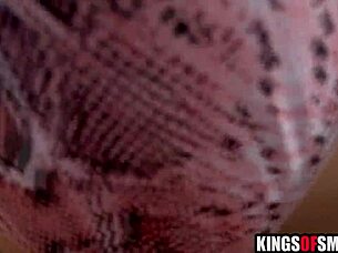 Stepmom and stepson anal outdoors elise london