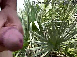 Clitlicker662's latest update: sloppy public masturbation and flashing.