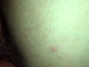 rough missionary fuck by bull