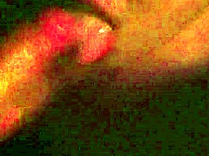 Latina Girlfriend Blowjob.