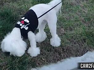 Blond teen 18+ getting fucked in this free porn video 😍