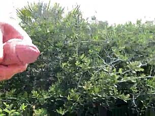 Clitlicker662's latest update: sloppy public masturbation and flashing.